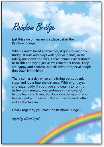 Spider, an evil wizard, has cast a spell over fairy creatures and spun a web over their kingdom. Rainbow Bridge Sympathy Cards | SmartPractice Veterinary