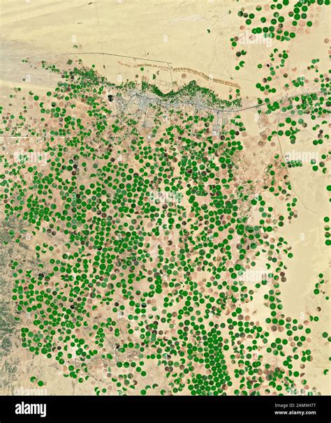 Nasa Satellite Image Green Circles Watered By Irrigation In Desert