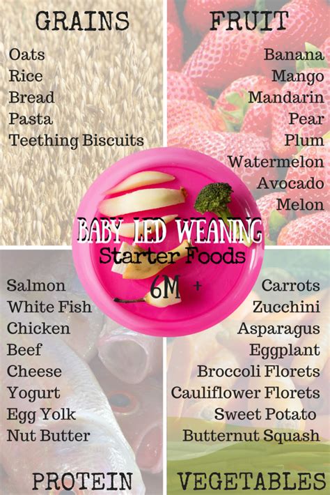 The magic foods list has been updated for 2018! How to Get Started with Baby Led Weaning: A Nutritionist's ...