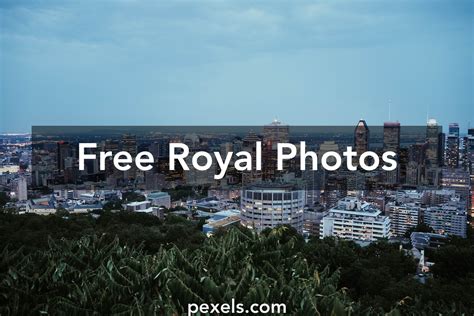 20 Amazing Royal Photos · Pexels · Free Stock Photos