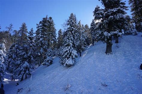 Mountain High Wrightwood All You Need To Know Before