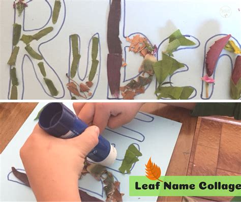 Leaf Name Collage Teach Me Mommy