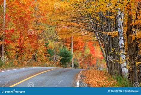 Quebec Countryside In Autumn Time Stock Photo Image Of Mist Drive
