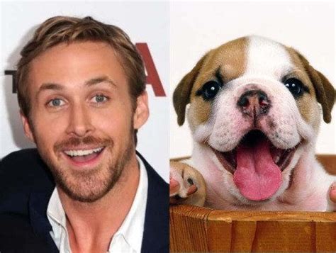 The 15 Best Moments Of Ryan Gosling Meme History Ryan Gosling Meme