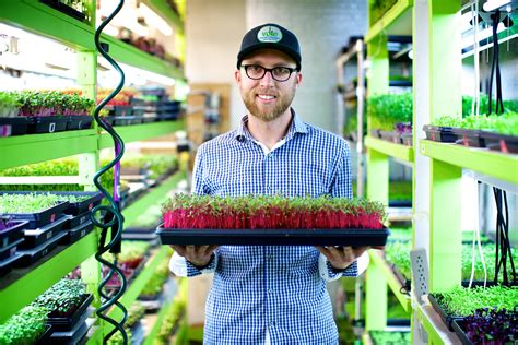 Sky Harvest Microgreens Small But Mighty British Columbia Organic Grower