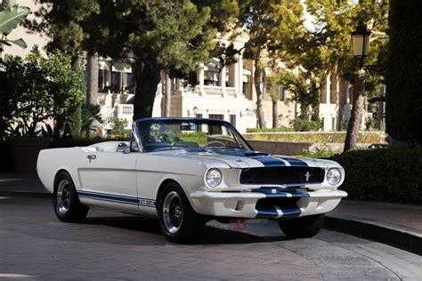 OVC Roadster — ORIGINAL VENICE CREW