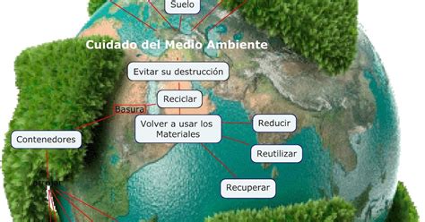 Ejemplo De Mapa Mental Del Medio Ambiente Kulturaupice