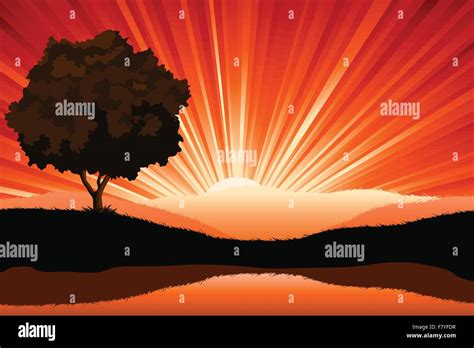 Amazing Natural Sunrise Landscape With Tree Silhouette Vector I Stock