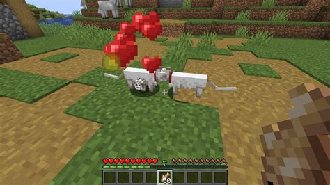 How To Breed Cats In Minecraft 119 Update