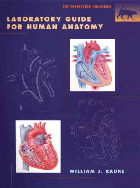 Laboratory Guide To Human Anatomy Paperback By Radke William J