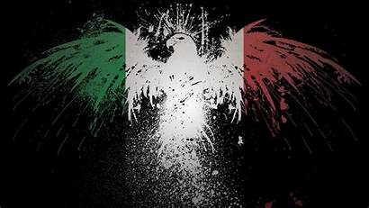 Flag Italian Avante Biz Ireland Wallpapers