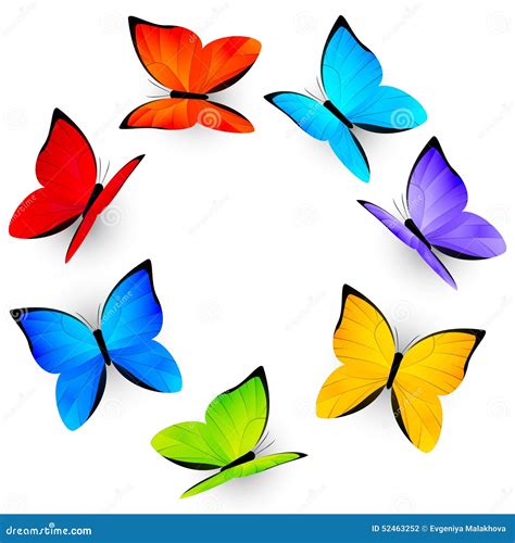 Rainbow Butterflies Background Many Different Butterflies Flying