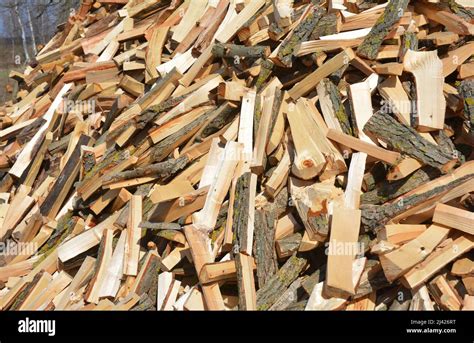 Split Firewood Background A Large Pile Of Split Firewood Stock Photo