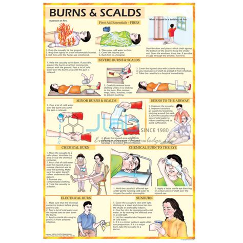Check spelling or type a new query. Artificial Respiration Chart India, Artificial Respiration ...