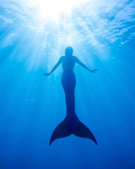 Mermaid Silhouette Deep Blue Sunlight Projectmermaids