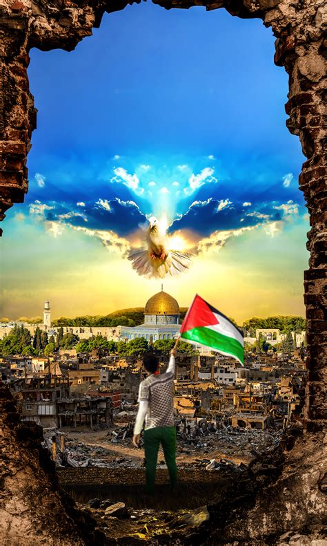 Palestine Gaza Behance