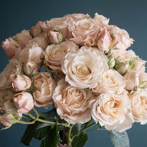 Meet Sahara Sensation One Of The Newest Spray Rose Offerings This