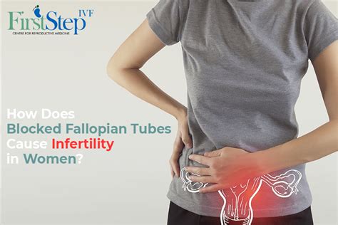 How Does Blocked Fallopian Tubes Cause Infertility In Women