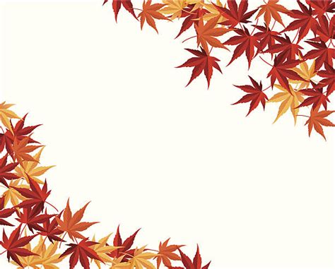 Japanese Maple Clip Art Vector Images And Illustrations Istock