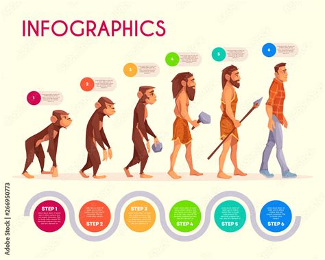 Human Evolution Infographics Steps Of Monkey Transforming To Modern