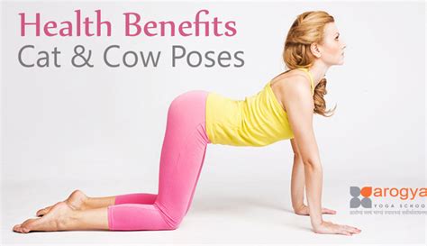 Yoga Cat Cow Pose Benefits Food Ideas