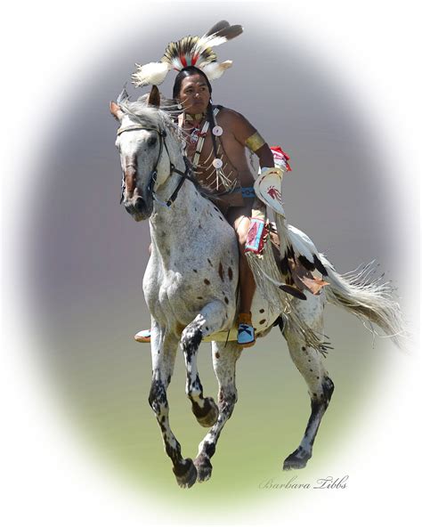 Julyamsh Horse Parade Appaloosa Native American Horses Indian Horses