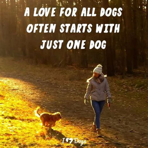 Iheartdogs Because Every Dog Matters Dog Quotes Dog Lovers Funny Dogs