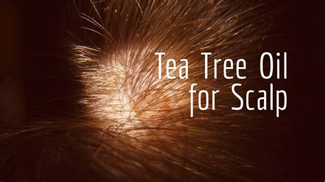 Tea Tree Oil For Scalp Problems