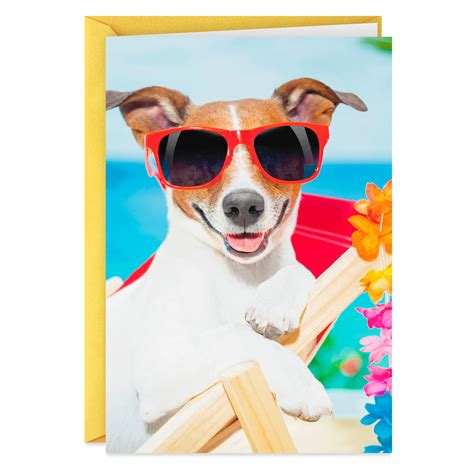 Beach Dog Go To Your Happy Place Funny Birthday Card Greeting Cards