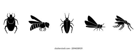 Insect Icon Set Insect Vector Set Stock Vector Royalty Free