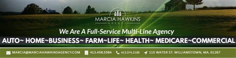 Marcia Hawkins Agency Owner Marcia Hawkins Agency Linkedin