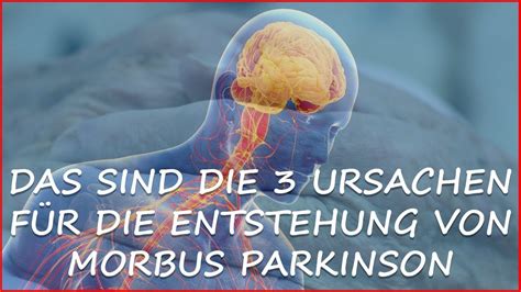 Das Ist Die Wirkliche Ursache Bei Parkinson 3 Ursachen Für Parkinson