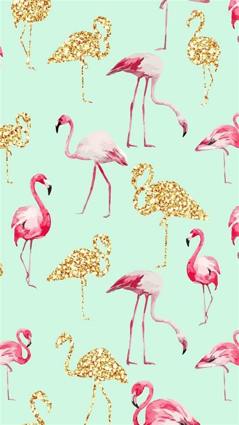 Flamingo Iphone Wallpaper Kolpaper Awesome Free Hd Wallpapers