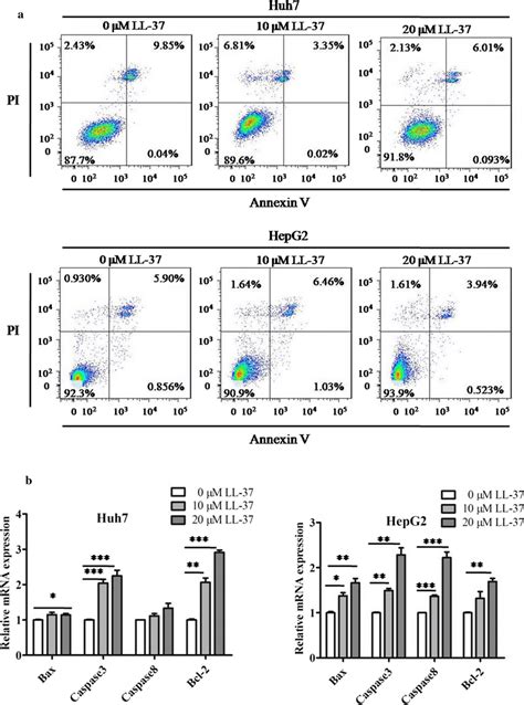 ll 37 caused no obvious apoptosis in huh7 and hepg2 cells a an annexin download scientific