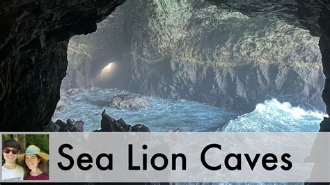 Sea Lion Caves Oregon Coast 4 Essential Tips For Your Visit Youtube