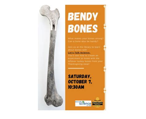 Discover The Secrets Of Strong And Bendy Bones With Lets Talk Science