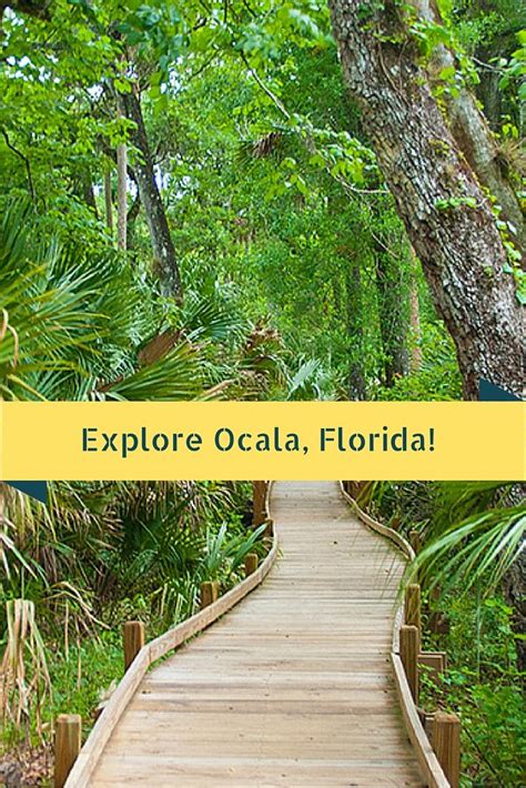 Explore Ocala Flordia 2 Places In Florida Visit Florida Florida