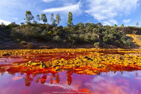 Clip Of The Week Source Of The Rio Tinto River Nature Picture Library