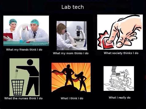 Found Thus One On Lab Humor On Facebook Had To Share Here On If You