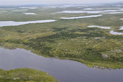 Nasa Studies Details Of A Greening Arctic Climate Change Vital Signs