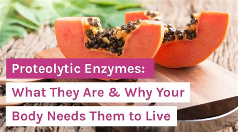 Proteolytic Enzymes What They Are And Why Your Body Needs Them To Live