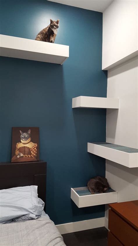 Each piece comes with a cute cat shaped opening and can be linked together to create a long structure that. corner-diy-cat-shelves-for-bedroom - HomeMydesign