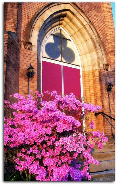 Churches & places of worship. St Peters Lutheran Church in May | Lutheran, Worship, City