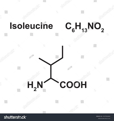 Isoleucine Amino Acid Chemical Structure Vector Stock Vector Royalty Free