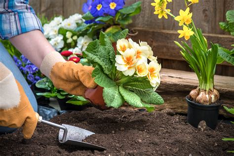 The Therapy Center Preventing Injury Helpful Tips While Gardening