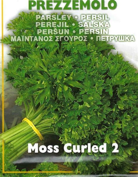 Parsley Moss Curled Pictorial Packet Premier Seeds Direct