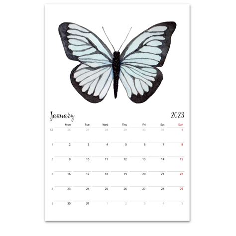 2022 2023 Calendar Butterflies Wall Calendar Retro Calendar 2022