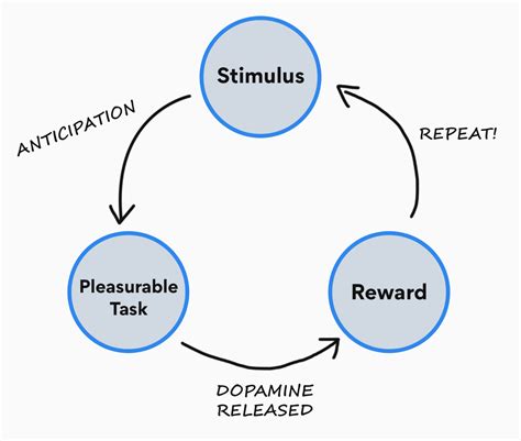 Dopamine Mastering The Chemical That Drives Behavior Bloo