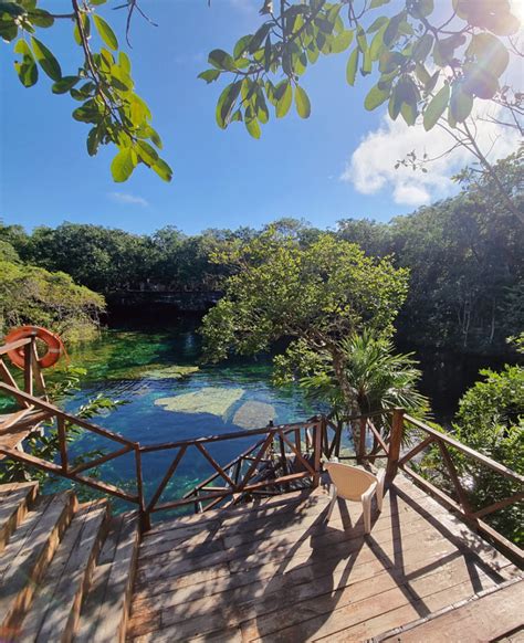 Cenote Jardín Del Edén ¿cómo Visitarlo Riviera Maya 2024