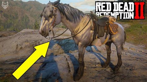 How To Calm Horse Rdr2 While Riding